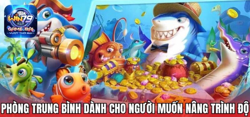 Phòng trung bình dành cho người muốn nâng trình độ