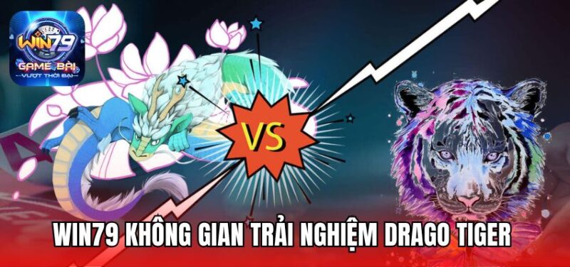 Bật mí bí kíp chơi rồng hổ cực thông minh bằng chiến thuật