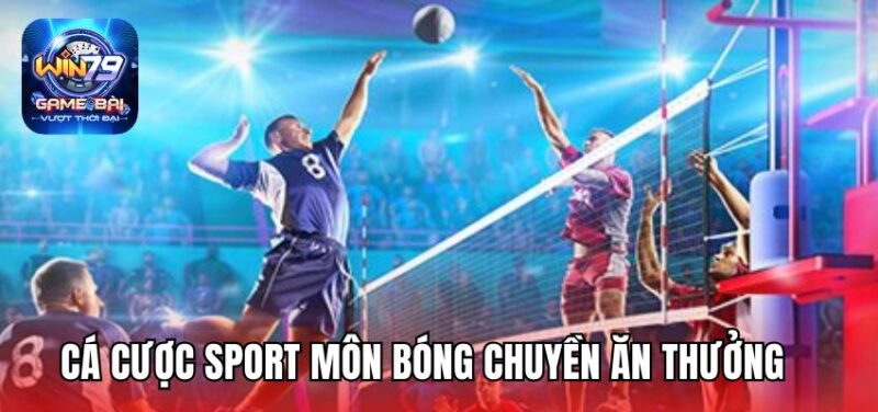 Cá cược sport môn bóng chuyền ăn thưởng