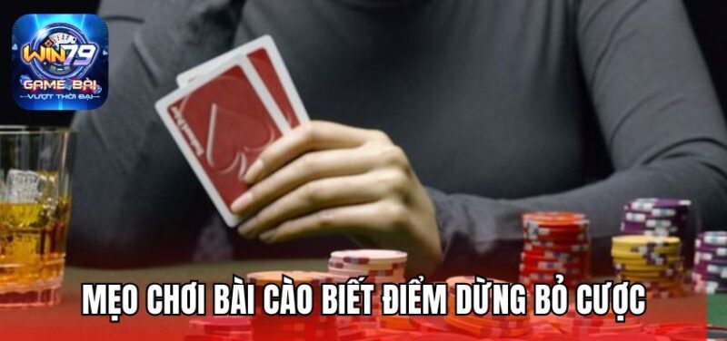Mẹo chơi bài Cào biết điểm dừng bỏ cược